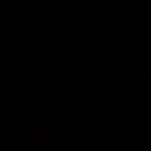 Meet your Posher, Dante